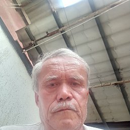 , 65, 