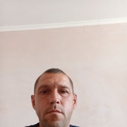 , 38, 