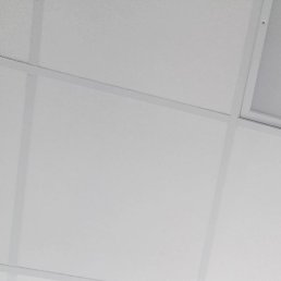 ������, �����������, 49 ���