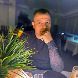 �������, �������, 41 ���