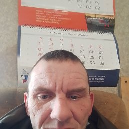 ����������, 47 ���, �����������