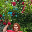 ���� ����, ��������, 61 ��� - ��������� 8 ������� 2024