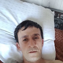 , 37, 