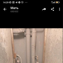   , , 41  -  1  2025