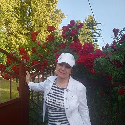 �������, ������ ��������, 66 ���