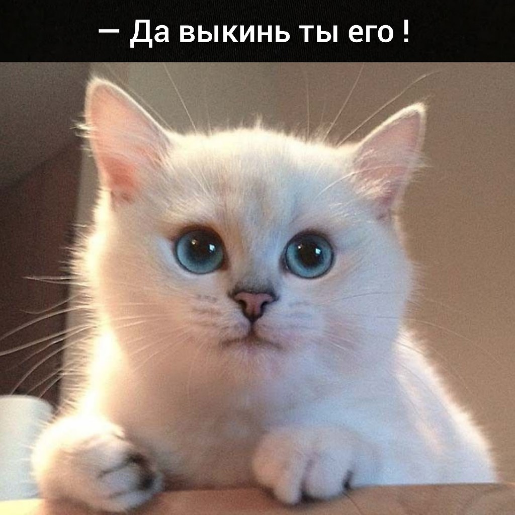 ��� ���� � ����� �� �� - 18 ��� 2026 � 16:55 - 3