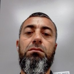 ����, ������, 41 ���