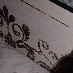 ������, �����, 46 ���