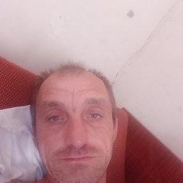 , 41, 