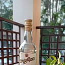 ���� ����, �������, 56 ��� - ��������� 13 ������� 2023 � ������ ���� ����������