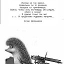 ���� ��������, ���������, 44 ���� - ��������� 23 ���� 2025 � ������ ������ ��������