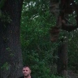 ������, ������������, 40 ���