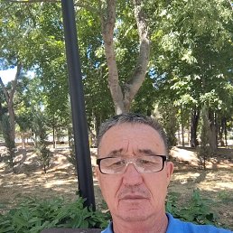 , 54, 