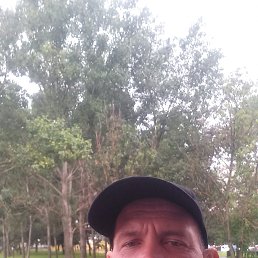 , 41, 