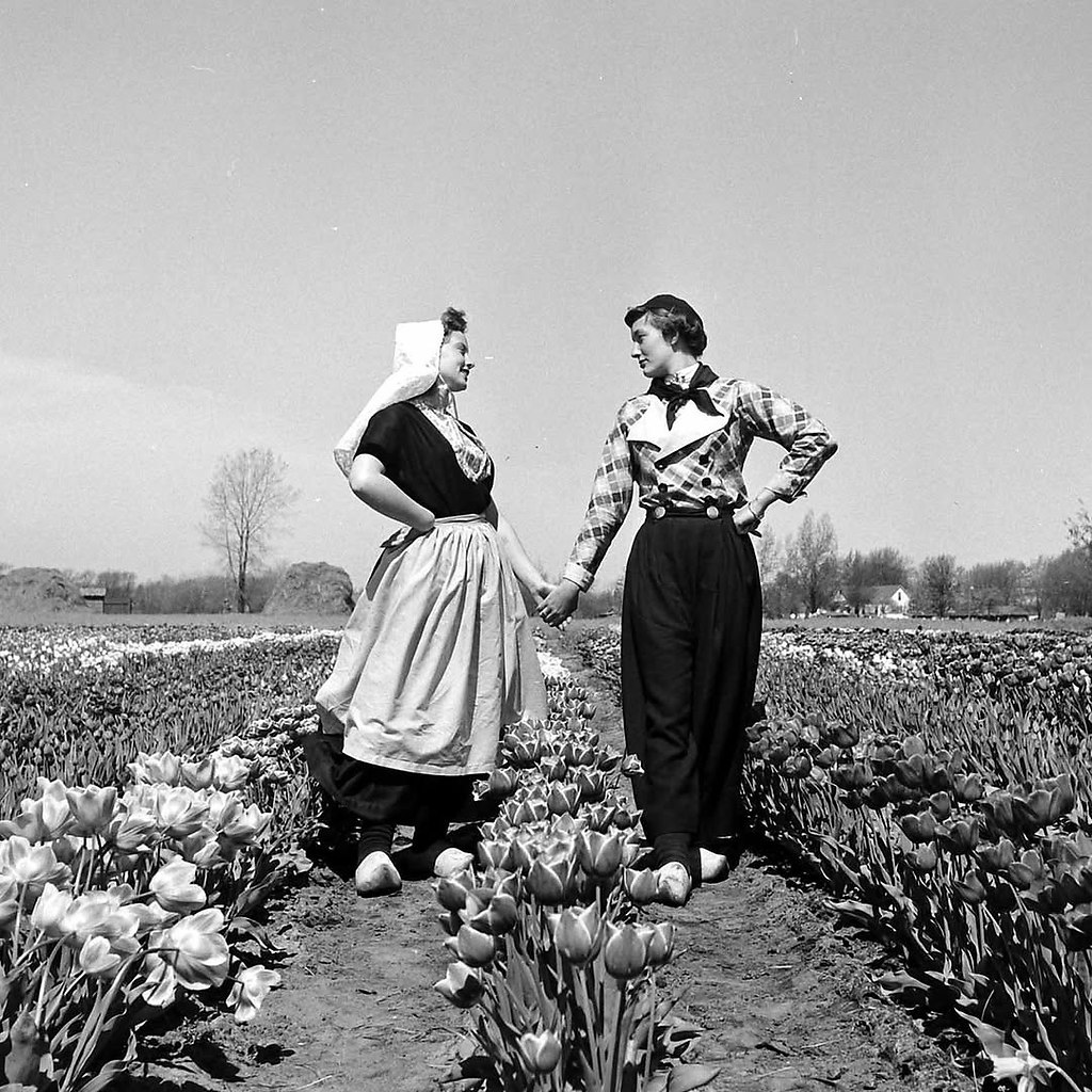       1950  - 6