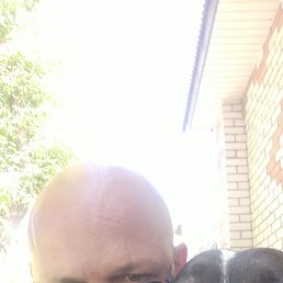 ���� ������, �������, 44 ���� - ��������� 7 ����� 2026