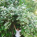 ���� ���������, ������� ��������, 69 ��� - ��������� 3 ������ 2024 � ������ ���� ����������