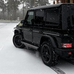 ���� �����, ������, 43 ���� - ��������� 11 ������� 2025