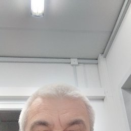 , 61, 