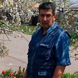 , 53 , 