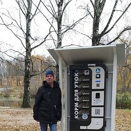 ������, ����, 51 ���