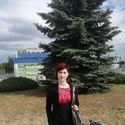 ���� ������, ������-��-����, 51 ��� - ��������� 18 ��� 2024