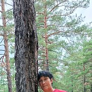 , 55 , 