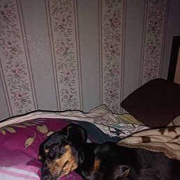 ���� ������, ���������, 47 ��� - ��������� 13 ������ 2023