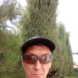 , 49, 