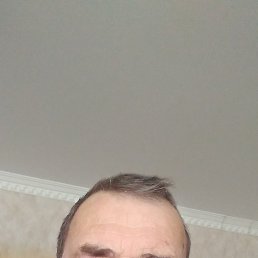 ������, 66 ���, ������