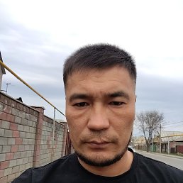 , 33, 