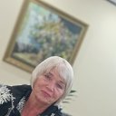 ���� ������, ���������, 66 ��� - ��������� 8 ������ 2024 � ������ ���� ����������