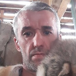 ������, ����������, 49 ���