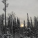 ���� �������, ����������, 51 ��� - ��������� 3 ���� 2026 � ������ ������ ��������