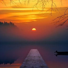 ������, ������, 54 ����