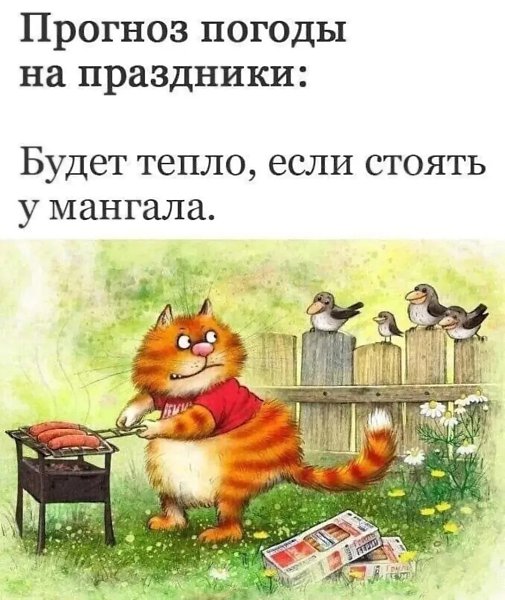  - 2  2025  20:19