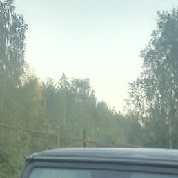 ������, �����-���������, 29 ���