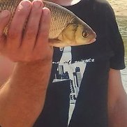 , 43 , 