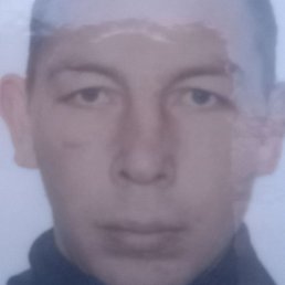 ������, ������, 38 ���