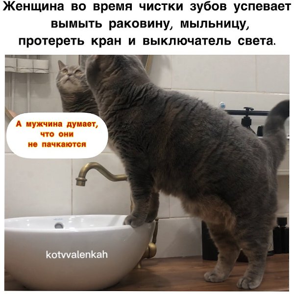   - 1  2024  13:33