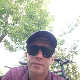 ���� ����, ��������, 92 ���� - ��������� 24 ������� 2023