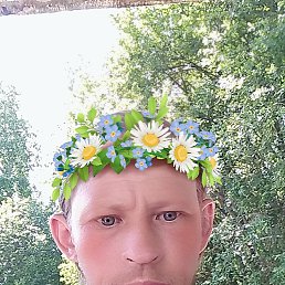 , 33, 