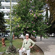 , 65 , 