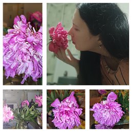 ���� ����, ������� - ��������� 7 ���� 2026