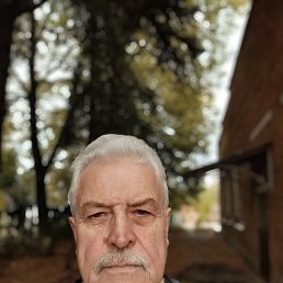 , 65 , 