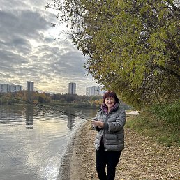 , 61, 