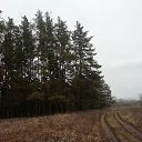 ���� ������, ������ - ��������� 5 ������� 2025 � ������ ������ ��������