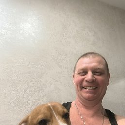 ����, 50 ���, ������