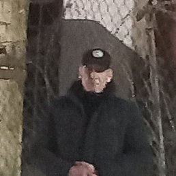 ����, �����-���������, 40 ���