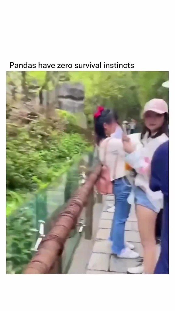 ����� - ��� ������� ��� �������� ��������!!